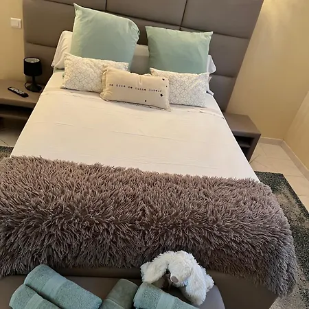 Chambre Figuier * Mandelieu